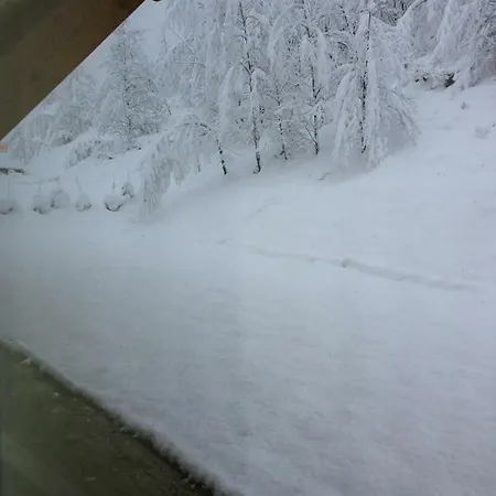 Chalet Napoleon *